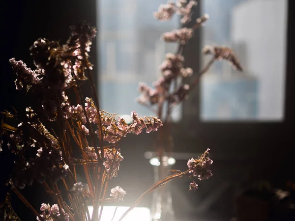 Jar Dried Flowers — Stock Photo, Image