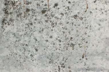 Tasarımcı arkaplanı için beyaz, gri klasik doku. Sert aydınlık yüzey. Alçılı beton duvar. Doldurulacak yer. Raster imajı. Gri beton.