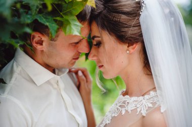 Gelin ve damat nazikçe sarılıp öpüşüyorlar. Genç çift evlendikleri gün aşık olur..