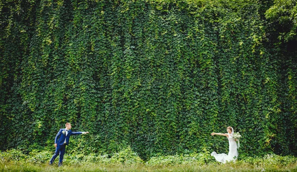 Belle Mariée Robe Blanche Mariée Élégante Smoking Sur Fond Nature — Photo