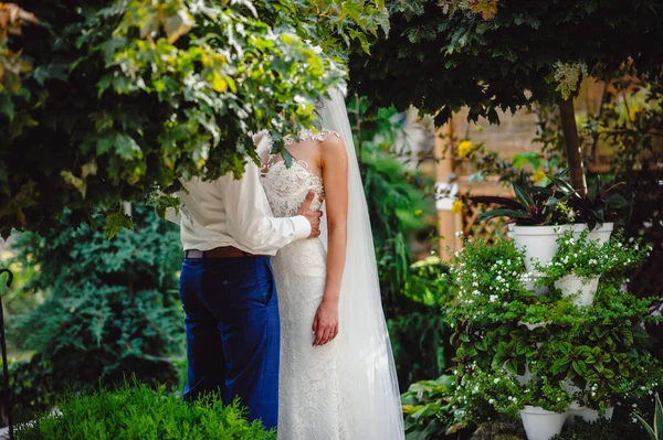 Жених Невеста Гуляют Парку Любовная Парочка Невест Целуется Дереве — стоковое фото