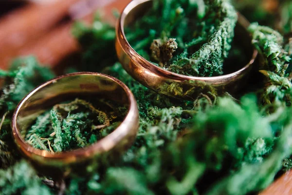 Dos Anillos Boda Oro Sobre Fondo Musgo Verde Primer Plano — Foto de Stock