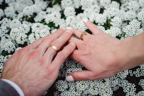 新婚夫妇手拿结婚戒指 丈夫和妻子手牵着手 背后插着一束白花 支助的概念 — 图库照片