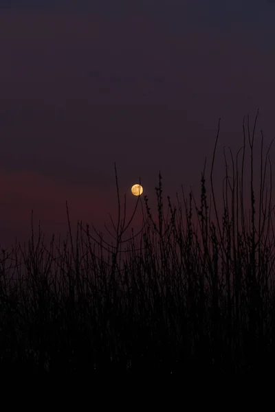 Красивая Луна Поле — стоковое фото
