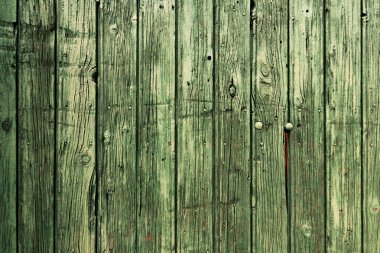 eski yeşil ahşap doku arka plan