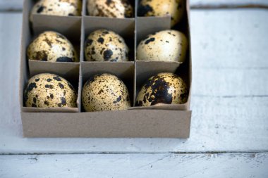 Paskalya bahar kompozisyon, bıldırcın yumurtası kutusuyla. Dikey metin için yer Beyaz ahşap zemin üzerine kapatın.