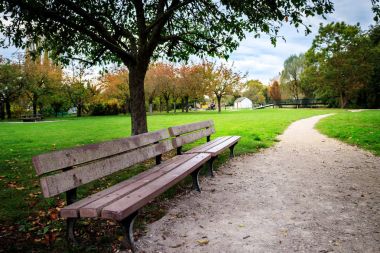 Yeşil bir parkta iki ahşap Bank