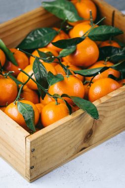 Mandalina portakal, clementines, narenciye mezarda ışık arka plan kopya alanı ile üzerinde yeşil yaprakları ile