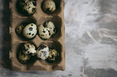 Paskalya bahar kompozisyon, bıldırcın yumurtası kutusuyla. Dikey metin için yer ile ışık arka plan üzerinde kapatın.