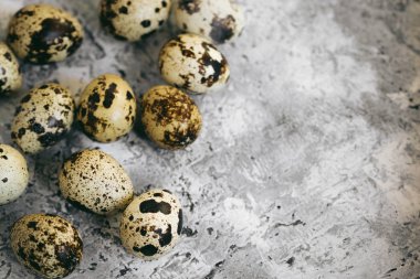 Paskalya bahar kompozisyon, grup bıldırcın yumurtası. Dikey metin için yer ile ışık arka plan üzerinde kapatın.