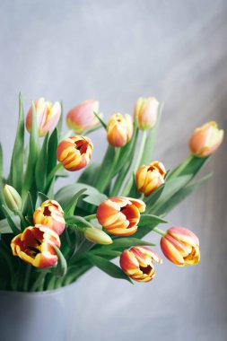 Gri-mavi arka plan, taze bahar ruh hali üzerinde bir vazoda sarı ve kırmızı laleler