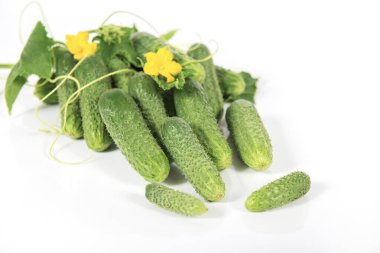 Beyaz arka planda izole edilmiş taze yeşil salatalık sürüsü