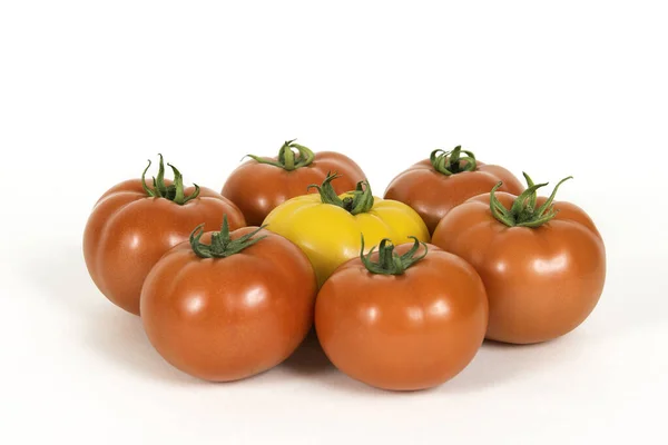 Gruppe Von Roten Frischen Tomaten Und Einer Gelben Tomate Isoliert — Stockfoto