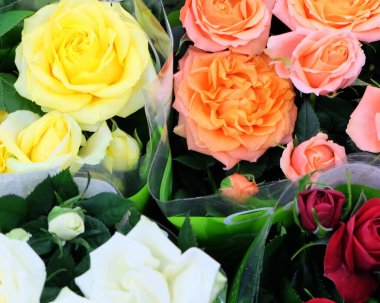 Tahta bir yüzeyde sulu domates. 1 parça yakın plan.