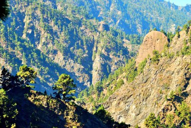 Caldera de Taburiente, La Palma Doğal Parkı 