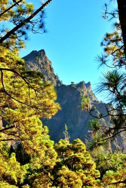 Caldera de Taburiente, La Palma Doğal Parkı 