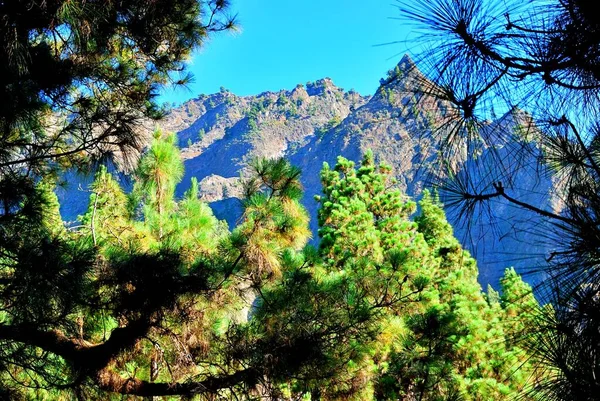 Caldera de Taburiente, La Palma Doğal Parkı 