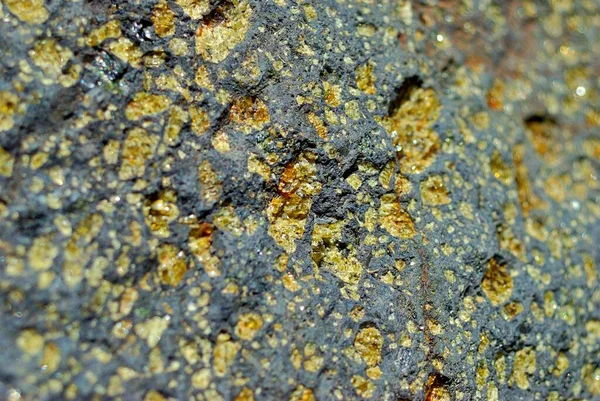 Caldera de Taburiente, La Palma Doğal Parkı. Olivina taşın üstünde.