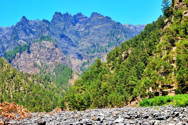 Caldera de Taburiente, La Palma Doğal Parkı