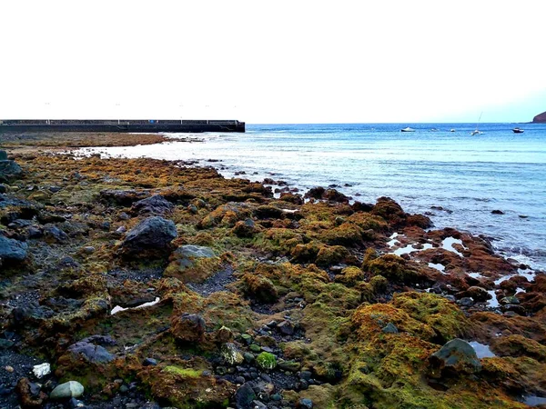 Medano Rocas Charcos Marea Baja — Foto de Stock