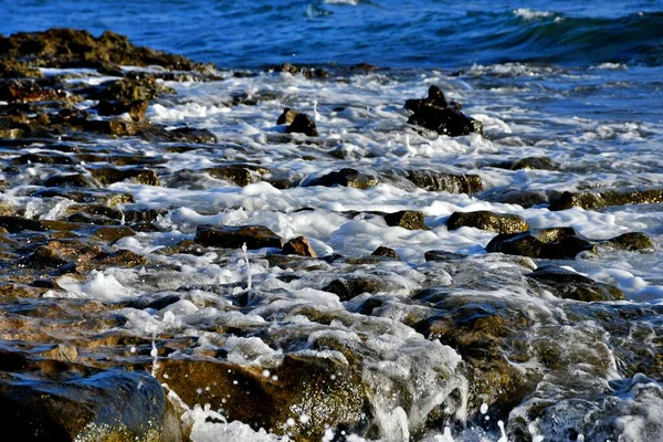 Medano Rocks Puddles Low Tide — Stock Photo, Image