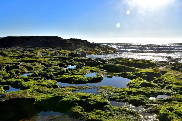 Medano Rochers Flaques Marée Basse — Photo