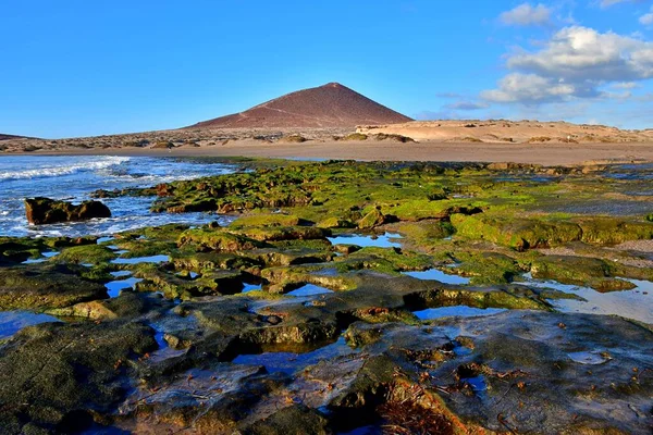 Medano Rocas Charcos Marea Baja — Foto de Stock