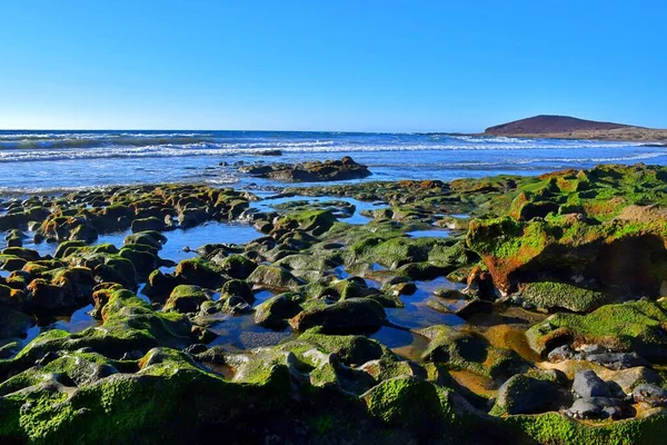 Medano Rochers Flaques Marée Basse — Photo