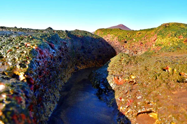 Medano Rocas Charcos Marea Baja — Foto de Stock