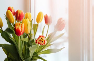 Fotokopi odasında sarı ve kırmızı laleler var. Pencere kenarında laleler