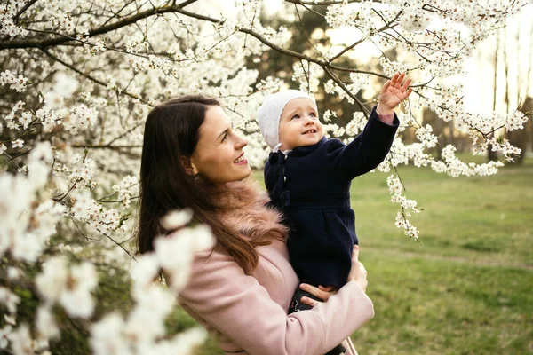 Mamá Sosteniendo Hija Cerca Blanco Árbol Flor Atardecer — Foto de Stock