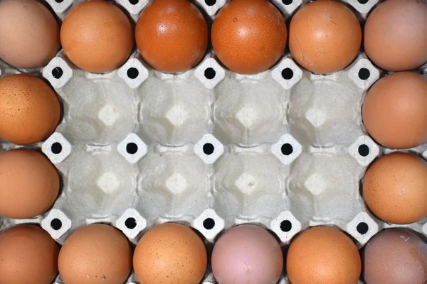 Egg Panel Top View Background — Stock Photo, Image