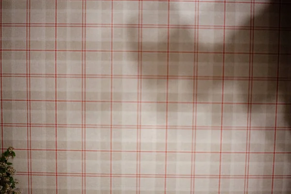 Geçmişi. Kafesteki duvardaki duvar kağıdı. gölge