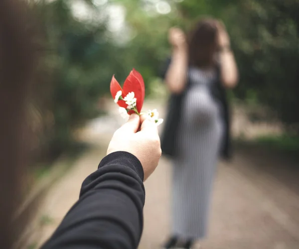 Aşk hikayesi, şefkat, hamilelik, en iyi zaman, bahar, doğa, park, en sevdiğin çiçeğin hediyesi.