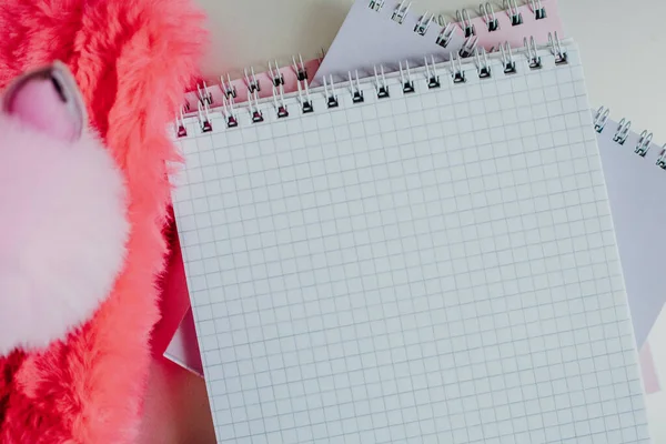 Kafesteki açık beyaz bir defter dizüstü bilgisayarın, eğitim geçmişinin, hafif geçmişinin yanında okul ve öğrencileri için bekleyen bir yığın defterin üzerinde duruyor.