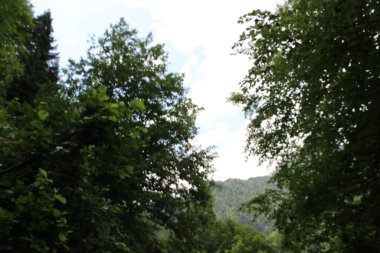 İnsan eli değmemiş doğa.