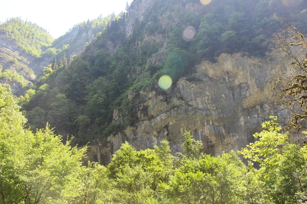 Berglandschap Met Bomen — Stockfoto