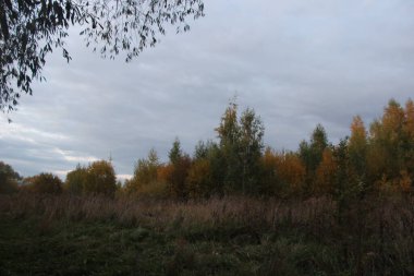 Doğa bir sonbahar akşamında