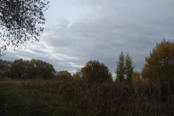 Walk Early Autumn — Stock Photo, Image