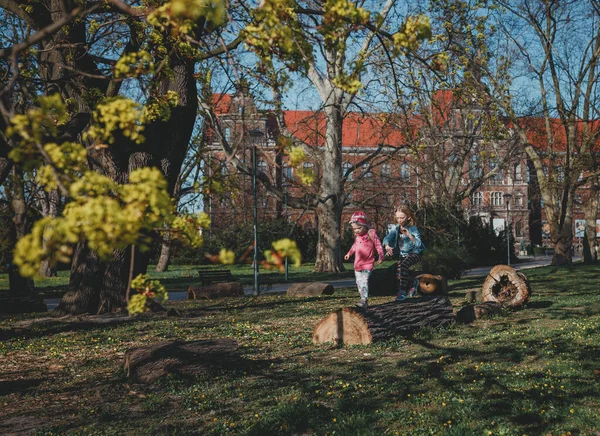 Güneşli bir günde Avrupa Parkı 'nda koşan iki küçük kız. Ormanda güzel bir bahar ve doğada çocuklar oynuyor. Mutlu bir çocukluk, aktivite, neşe, güneş, bahar, sıcaklık, yeşillik kavramı