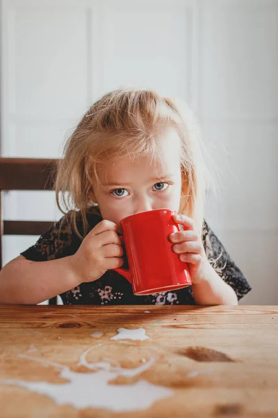 Милая Маленькая Девочка Пьет Молоко Красной Кружки Дома — стоковое фото