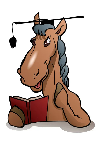 Lärd häst slitage examen hatt — Stockfoto