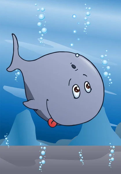 Velká velryba, potápění — Stock fotografie