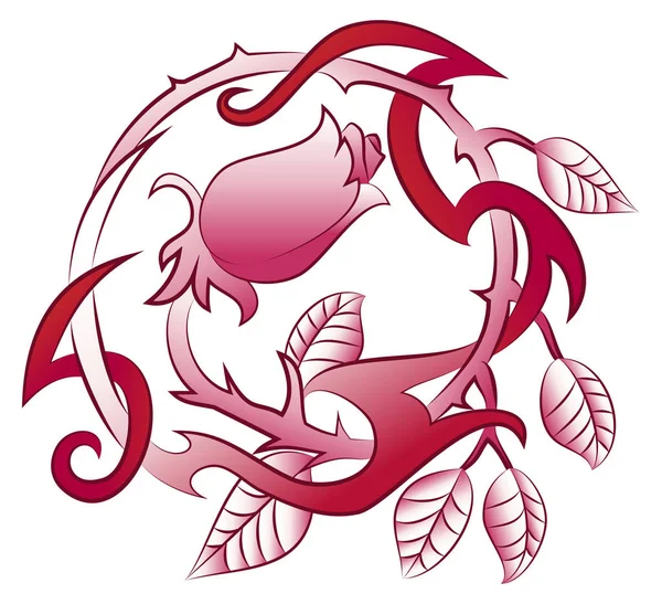 Tatuagem de flor de rosa circular — Fotografia de Stock