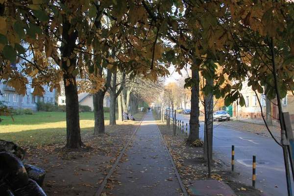 阳光灿烂的秋天里空荡荡的人行道 — 图库照片