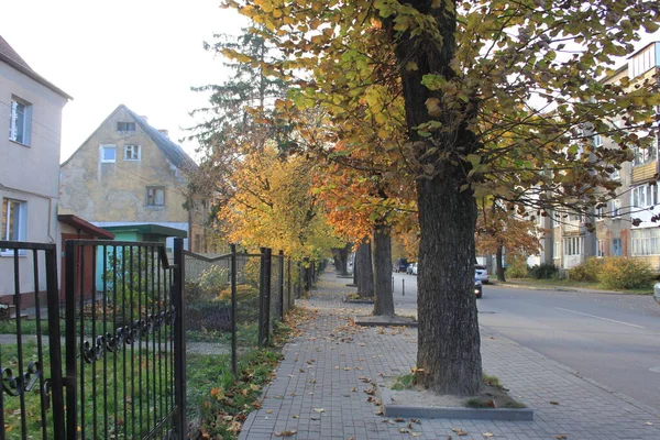 Fußgängerzone Einem Herbsttag Der Stadt Der Nähe Von Häusern Und — Stockfoto