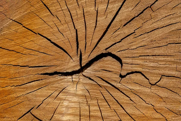 Eski kahverengi ahşap dokuda radyal çatırtılar.