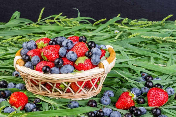 Olgun çilekler, yaban mersinleri ve siyah frenk üzümü çimlerin üzerinde sepette. Cömert bir yaz çilek hasadı konsepti. Karanlık bir arka planda.