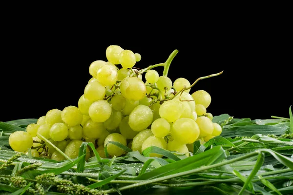 Bir demet beyaz üzüm, yeşil çimlerin üzerinde damla ile kaplıdır. Siyah bir arka planda izole edilmiş. Yakın plan.