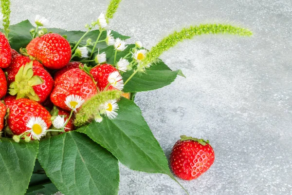 Yapraklarla süslenmiş sepetin içinde olgun çilekler ve gri arka planda tarla çiçekleri. Cömert bir yaz çilek hasadı konsepti. Yakın plan..